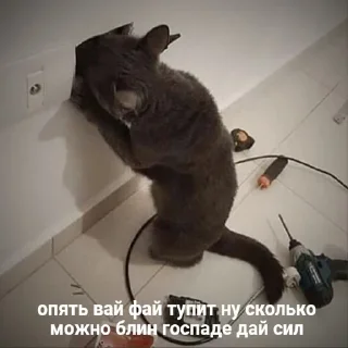 🤨