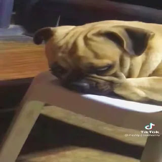 🥺