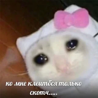 💔
