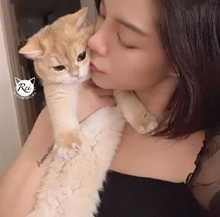 💋