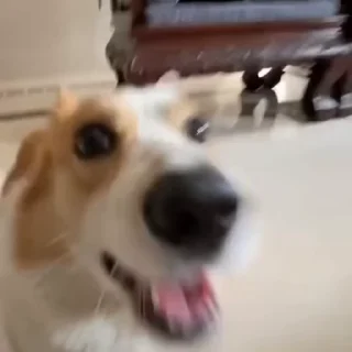 😁