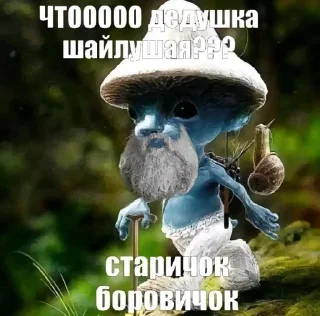 🌟