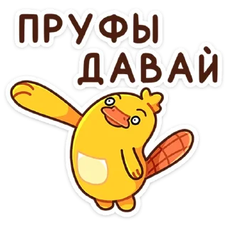 🦆