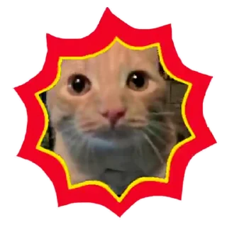 💥