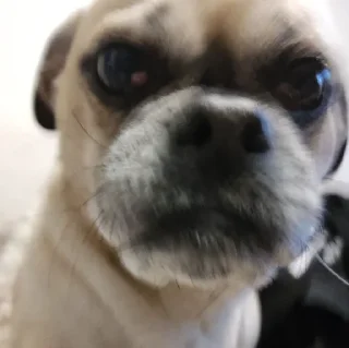 😡