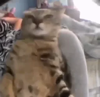 😑