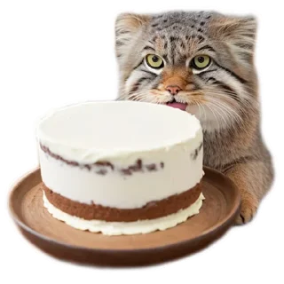 🍰