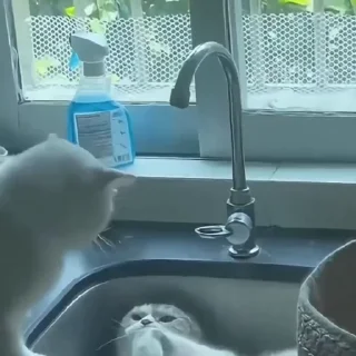 😠