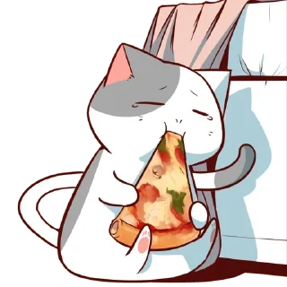 🐈