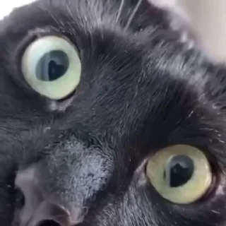 🤯