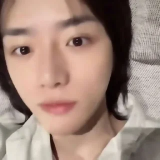 🐻