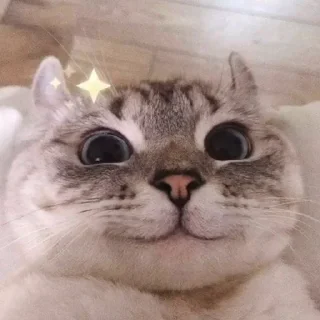 🙂