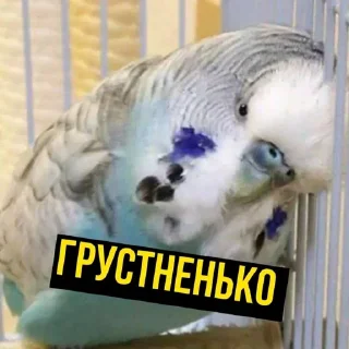 😢