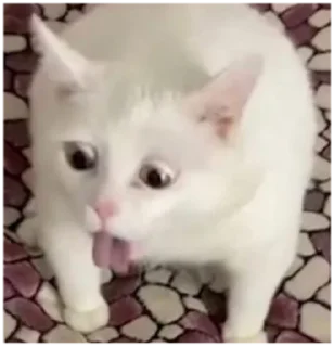🤮