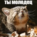😊