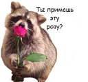 🌹