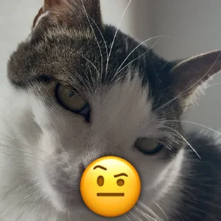 🤨