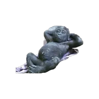💆