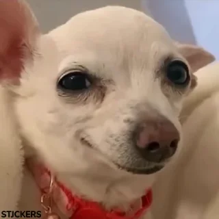 😉