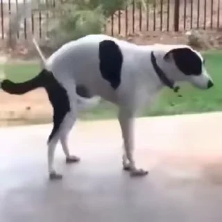 😂