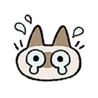 😺