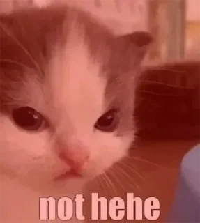 😡