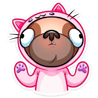 🐈