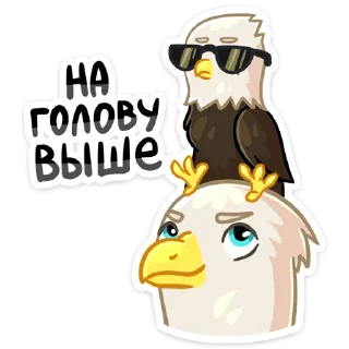 😎