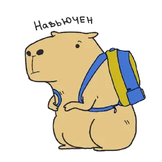 🎒
