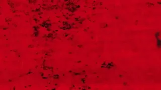 😱