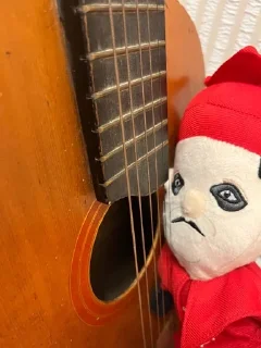 🎸
