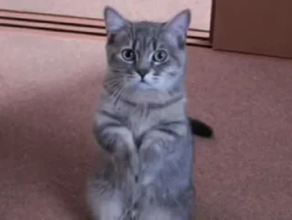 😊