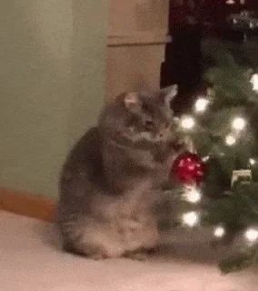 новогодние коты / @gilanses /