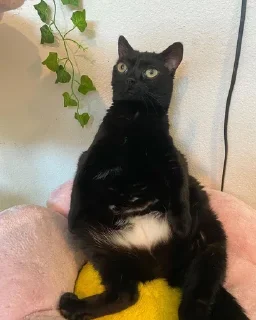 😑