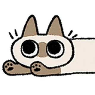 😺