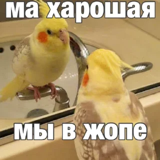 🫤