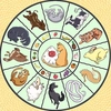 Fruits basket @keiriststicks