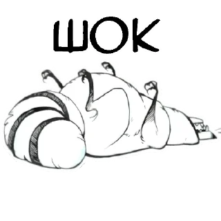 💤