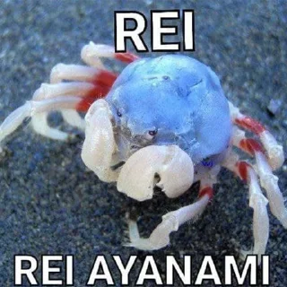 🦀