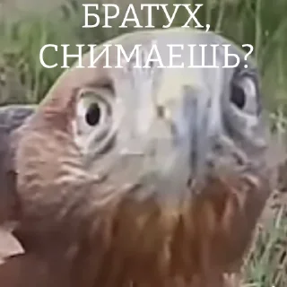 🤨