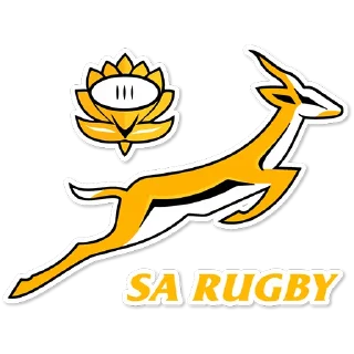 🇿🇦