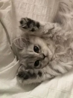 😃