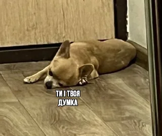 🤔