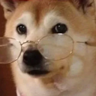 💓