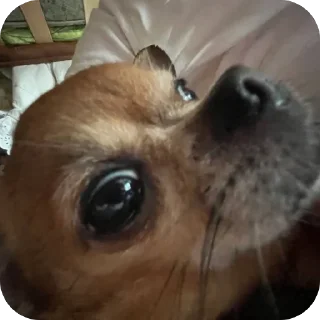😳