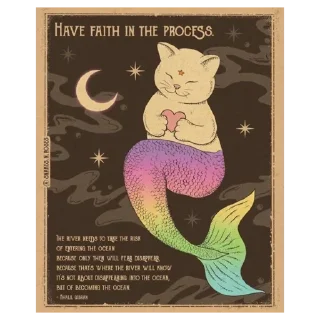✨