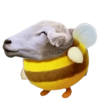 🐏