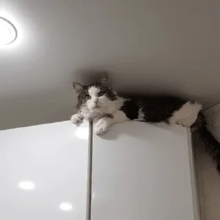 😧