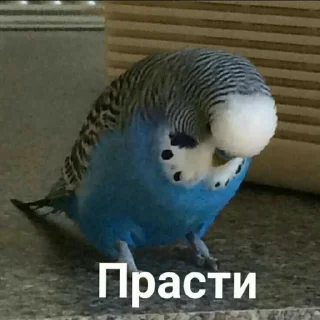 🙏
