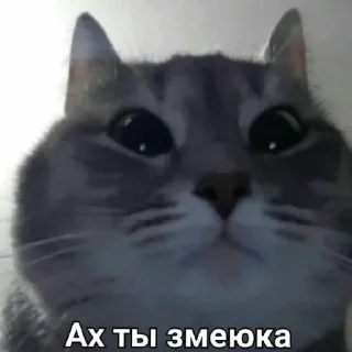 😠